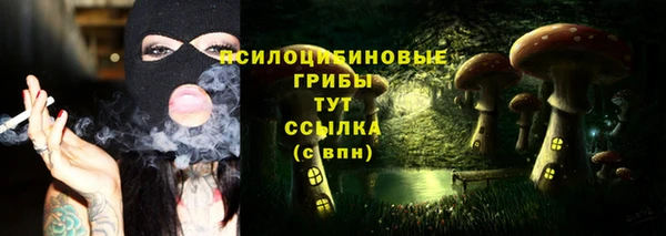 сатива Тихвин