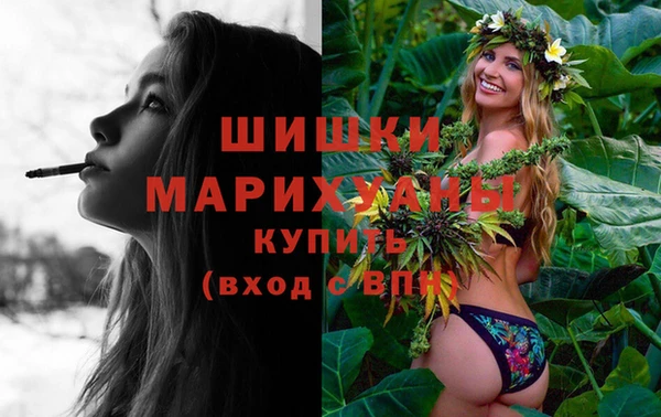 сатива Тихвин