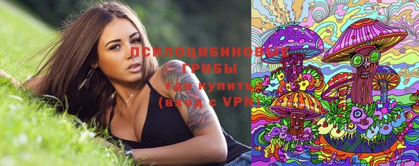 сатива Тихвин