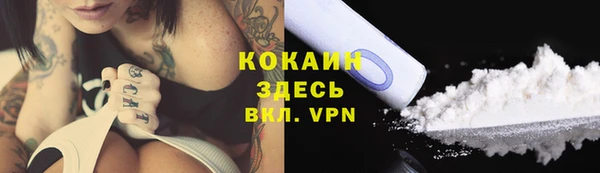 сатива Тихвин