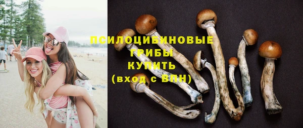мет Тобольск